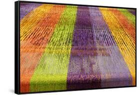 Europe, Ireland, Avoca. Avoca Handweavers Mill, County Wicklow. Colorful Wool Yarns.-Kymri Wilt-Framed Stretched Canvas