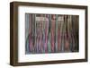 Europe, Ireland, Avoca. Avoca Handweavers Mill, County Wicklow. Woollen Threads.-Kymri Wilt-Framed Photographic Print