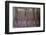 Europe, Ireland, Avoca. Avoca Handweavers Mill, County Wicklow. Woollen Threads.-Kymri Wilt-Framed Photographic Print