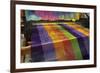 Europe, Ireland, Avoca. Avoca Handweavers Mill, County Wicklow. Woollen Weaving Loom.-Kymri Wilt-Framed Photographic Print