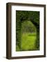 Europe, Ireland. Garden at Ardmore Castle-Jaynes Gallery-Framed Photographic Print