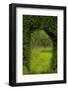 Europe, Ireland. Garden at Ardmore Castle-Jaynes Gallery-Framed Photographic Print