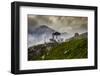 Europe, Italy, Alps, Dolomites, Mountains, Belluno, Sexten Dolomites, Rifugio Auronzo, Tre Cime-Mikolaj Gospodarek-Framed Photographic Print