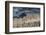 Europe, Italy, Alps, Dolomites, Mountains, Croda da Lago, Formin, View from Rifugio Nuvolau-Mikolaj Gospodarek-Framed Photographic Print