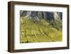 Europe, Italy, Alps, Dolomites, Mountains, Pordoi Pass-Mikolaj Gospodarek-Framed Photographic Print