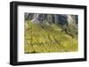 Europe, Italy, Alps, Dolomites, Mountains, Pordoi Pass-Mikolaj Gospodarek-Framed Photographic Print