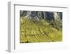 Europe, Italy, Alps, Dolomites, Mountains, Pordoi Pass-Mikolaj Gospodarek-Framed Photographic Print