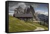 Europe, Italy, Alps, Dolomites, Mountains, South Tyrol, Val Gardena, Geislergruppe, Seceda-Mikolaj Gospodarek-Framed Stretched Canvas