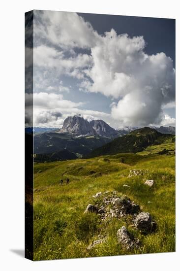 Europe, Italy, Alps, Dolomites, Mountains, South Tyrol, Val Gardena, Sassolungo, View from Seceda-Mikolaj Gospodarek-Stretched Canvas