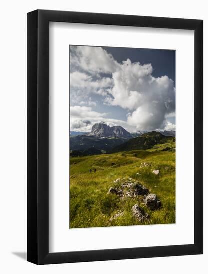 Europe, Italy, Alps, Dolomites, Mountains, South Tyrol, Val Gardena, Sassolungo, View from Seceda-Mikolaj Gospodarek-Framed Photographic Print