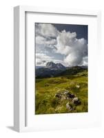 Europe, Italy, Alps, Dolomites, Mountains, South Tyrol, Val Gardena, Sassolungo, View from Seceda-Mikolaj Gospodarek-Framed Photographic Print