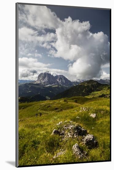 Europe, Italy, Alps, Dolomites, Mountains, South Tyrol, Val Gardena, Sassolungo, View from Seceda-Mikolaj Gospodarek-Mounted Photographic Print