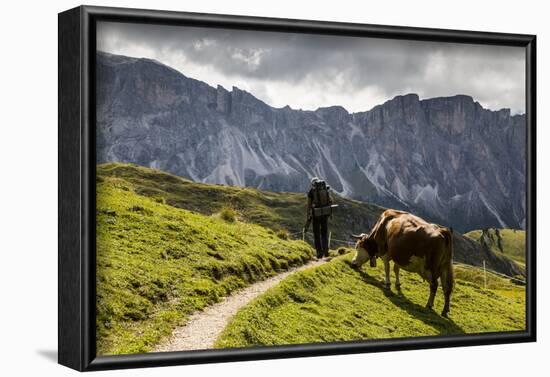 Europe, Italy, Alps, Dolomites, Mountains, South Tyrol, Val Gardena, View from Seceda-Mikolaj Gospodarek-Framed Photographic Print