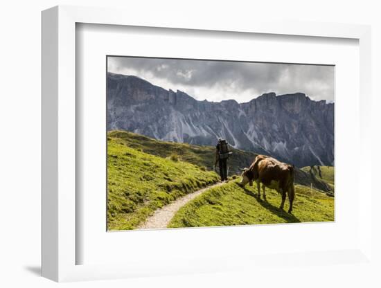 Europe, Italy, Alps, Dolomites, Mountains, South Tyrol, Val Gardena, View from Seceda-Mikolaj Gospodarek-Framed Photographic Print