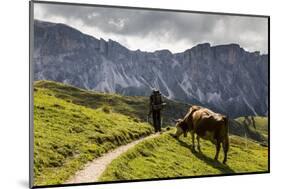 Europe, Italy, Alps, Dolomites, Mountains, South Tyrol, Val Gardena, View from Seceda-Mikolaj Gospodarek-Mounted Photographic Print