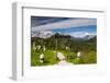 Europe, Italy, Alps, Dolomites, Mountains, Veneto, Belluno, Giau Pass-Mikolaj Gospodarek-Framed Photographic Print