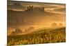Europe, Italy, Belvedere farmhouse at dawn, province of Siena, Tuscany.-ClickAlps-Mounted Photographic Print