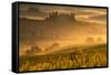 Europe, Italy, Belvedere farmhouse at dawn, province of Siena, Tuscany.-ClickAlps-Framed Stretched Canvas