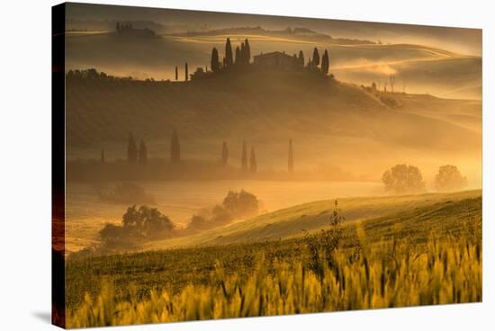 Europe, Italy, Belvedere farmhouse at dawn, province of Siena, Tuscany.-ClickAlps-Stretched Canvas