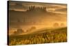Europe, Italy, Belvedere farmhouse at dawn, province of Siena, Tuscany.-ClickAlps-Stretched Canvas