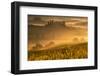 Europe, Italy, Belvedere farmhouse at dawn, province of Siena, Tuscany.-ClickAlps-Framed Photographic Print