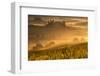 Europe, Italy, Belvedere farmhouse at dawn, province of Siena, Tuscany.-ClickAlps-Framed Photographic Print