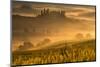 Europe, Italy, Belvedere farmhouse at dawn, province of Siena, Tuscany.-ClickAlps-Mounted Photographic Print