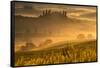 Europe, Italy, Belvedere farmhouse at dawn, province of Siena, Tuscany.-ClickAlps-Framed Stretched Canvas