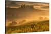 Europe, Italy, Belvedere farmhouse at dawn, province of Siena, Tuscany.-ClickAlps-Stretched Canvas