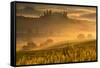Europe, Italy, Belvedere farmhouse at dawn, province of Siena, Tuscany.-ClickAlps-Framed Stretched Canvas