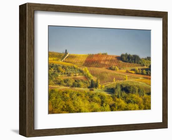 Europe, Italy, Chianti. Vineyard in autumn in the Chianti region of Tuscany.-Julie Eggers-Framed Photographic Print