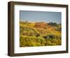 Europe, Italy, Chianti. Vineyard in autumn in the Chianti region of Tuscany.-Julie Eggers-Framed Photographic Print