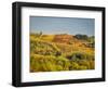 Europe, Italy, Chianti. Vineyard in autumn in the Chianti region of Tuscany.-Julie Eggers-Framed Photographic Print