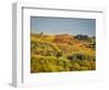 Europe, Italy, Chianti. Vineyard in autumn in the Chianti region of Tuscany.-Julie Eggers-Framed Photographic Print