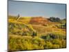 Europe, Italy, Chianti. Vineyard in autumn in the Chianti region of Tuscany.-Julie Eggers-Mounted Photographic Print