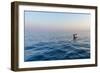 Europe, Italy, Cinque Terre. Boat in front of Vernazza.-Catherina Unger-Framed Photographic Print