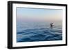 Europe, Italy, Cinque Terre. Boat in front of Vernazza.-Catherina Unger-Framed Photographic Print