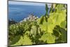 Europe, Italy, Cinque Terre. View of Vernazza.-Catherina Unger-Mounted Photographic Print