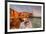 Europe,Italy,Liguria,La Spezia district. Tellaro at sunset-ClickAlps-Framed Photographic Print