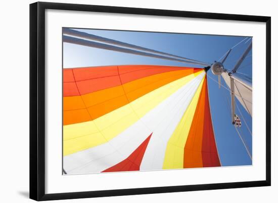 Europe, Italy Mediterranean, Sailboat Spinnaker Colorful Display-Trish Drury-Framed Photographic Print