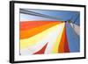 Europe, Italy Mediterranean, Sailboat Spinnaker Colorful Display-Trish Drury-Framed Photographic Print