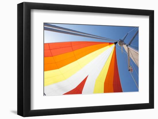 Europe, Italy Mediterranean, Sailboat Spinnaker Colorful Display-Trish Drury-Framed Photographic Print