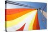 Europe, Italy Mediterranean, Sailboat Spinnaker Colorful Display-Trish Drury-Stretched Canvas