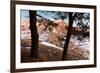 Europe,Italy,Perugia district,Castelluccio of Norcia.-ClickAlps-Framed Photographic Print