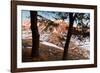 Europe,Italy,Perugia district,Castelluccio of Norcia.-ClickAlps-Framed Photographic Print