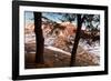 Europe,Italy,Perugia district,Castelluccio of Norcia.-ClickAlps-Framed Photographic Print