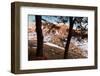 Europe,Italy,Perugia district,Castelluccio of Norcia.-ClickAlps-Framed Photographic Print