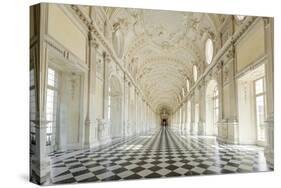 Europe, Italy, Piedmont. The Galleria Grande of the Venaria reale.-Catherina Unger-Stretched Canvas