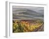 Europe, Italy, Tuscany. Autumn Vineyards in Bright Colors-Julie Eggers-Framed Premium Photographic Print