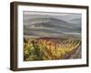 Europe, Italy, Tuscany. Autumn Vineyards in Bright Colors-Julie Eggers-Framed Photographic Print